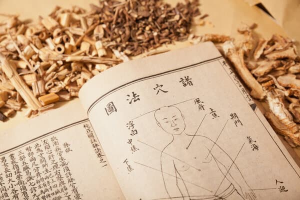 中医里的麻是什么意思
