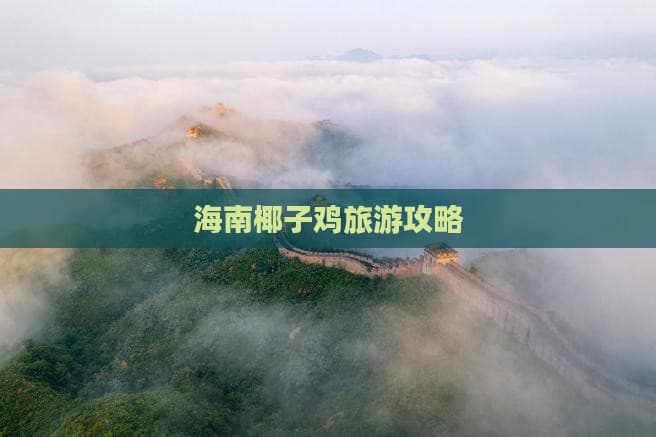 海南椰子鸡旅游攻略：从美食到文化的全方位体验