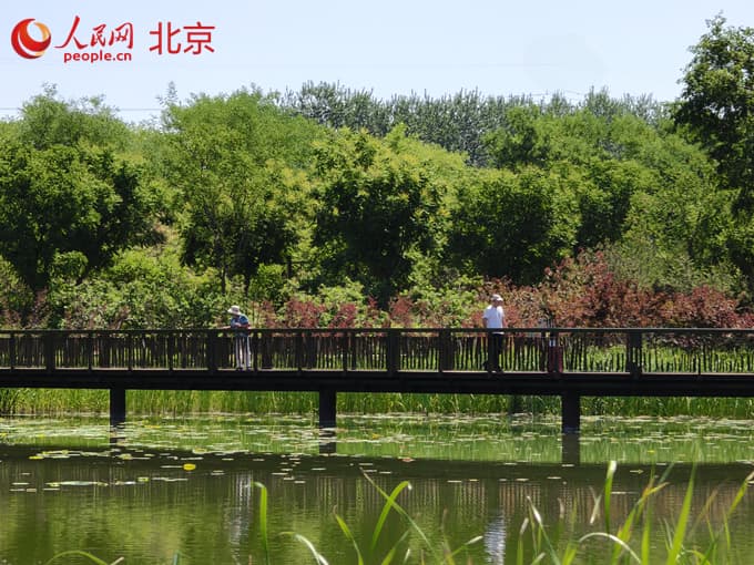 绿色副中心｜城市副中心努力打造“绿色北京”新标杆