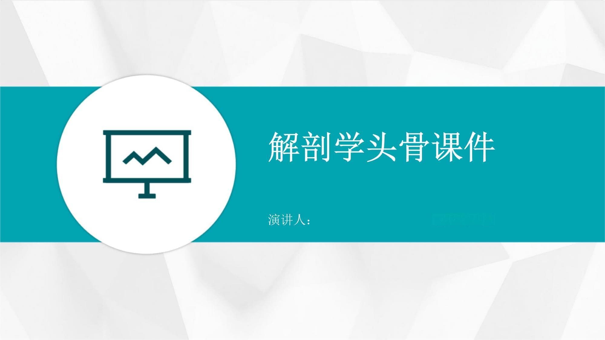 解剖学头骨课件