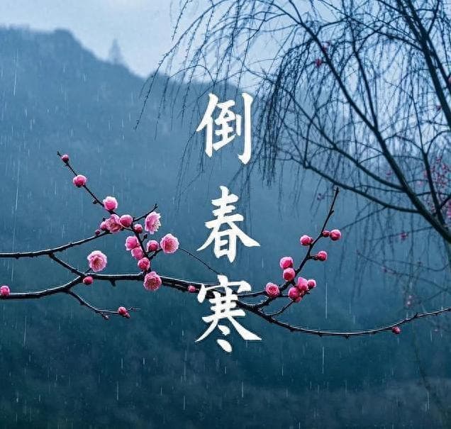 “倒春寒来不来，就看正月十六”，怎么看？今年会是冷春吗？