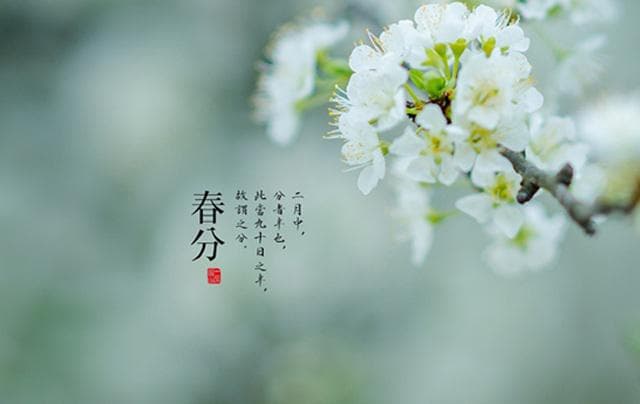 春分养生：想要身体好，请记住5个“最佳”