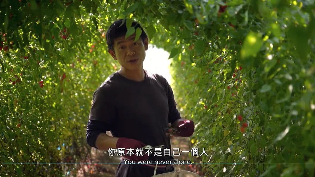 “断亲”之前需要知道的几件事