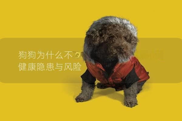 狗狗为什么不能吃橘子？了解其中的健康隐患与风险
