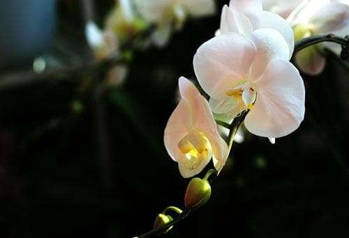 高中数学教师的教学水平如何提高