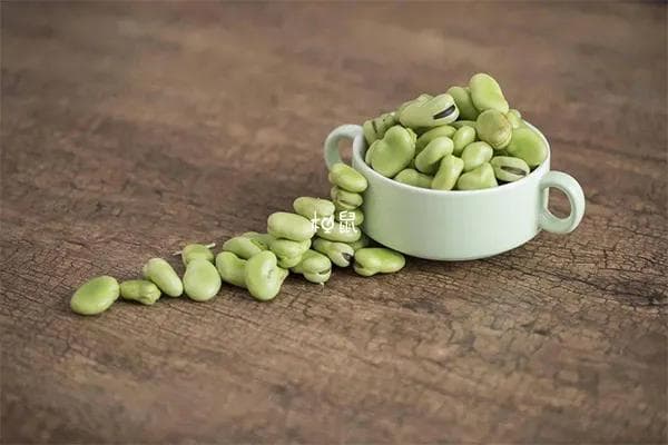 198种蚕豆病禁忌用药全解析