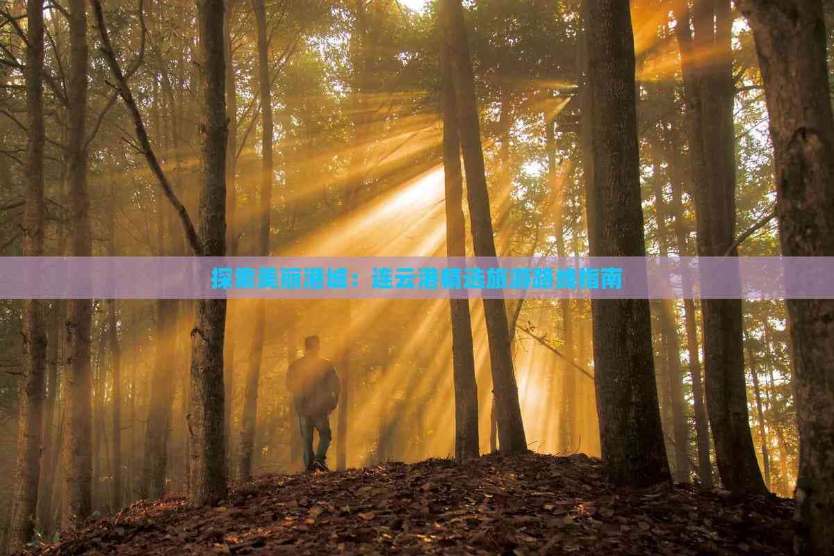 探索美丽港城：连云港精选旅游路线指南
