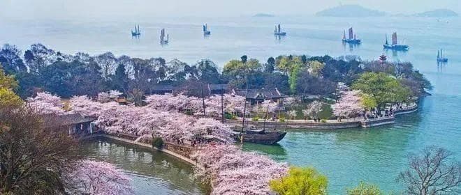无锡杨氏家族：百年工商望族的辉煌与传奇