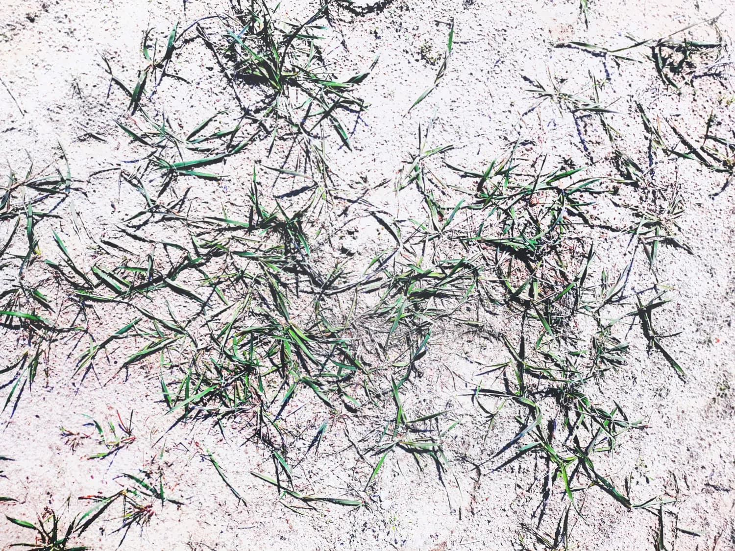 荆肤止痒颗粒（丽珠）使用全攻略：正确缓解皮肤瘙痒