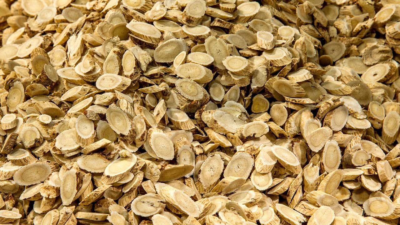 黄芪的功效与应用：从传统到现代的全面解析