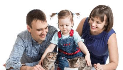 如果你的孩子想养猫，你赞同吗？