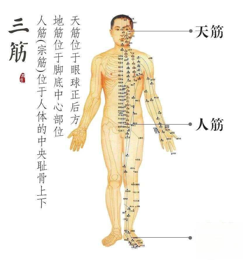 会“揉地筋”，相当于给全身吃补药