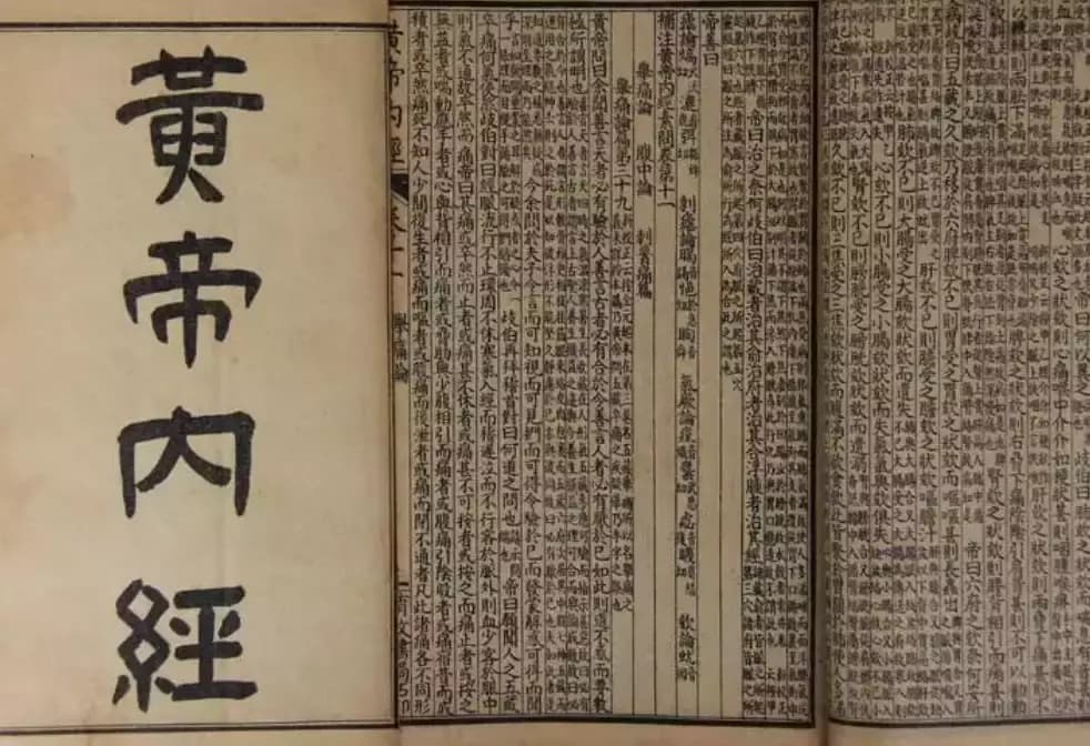 武当84岁道医祝华英，拥有一身千年绝学，竟只传给了外国人