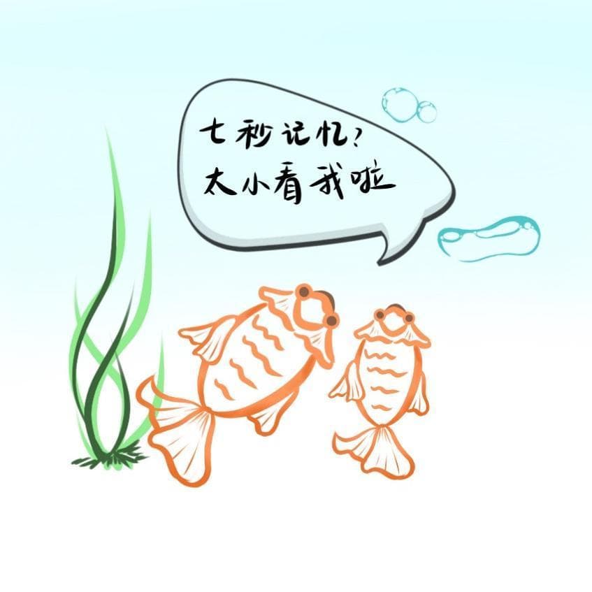 鱼的记忆只有七秒？鱼：未免太小看我！