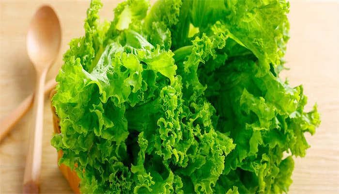 种生菜多久浇一次水