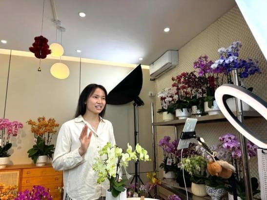 日均销量1000+！里水蝴蝶兰“双十一”迎来新销路