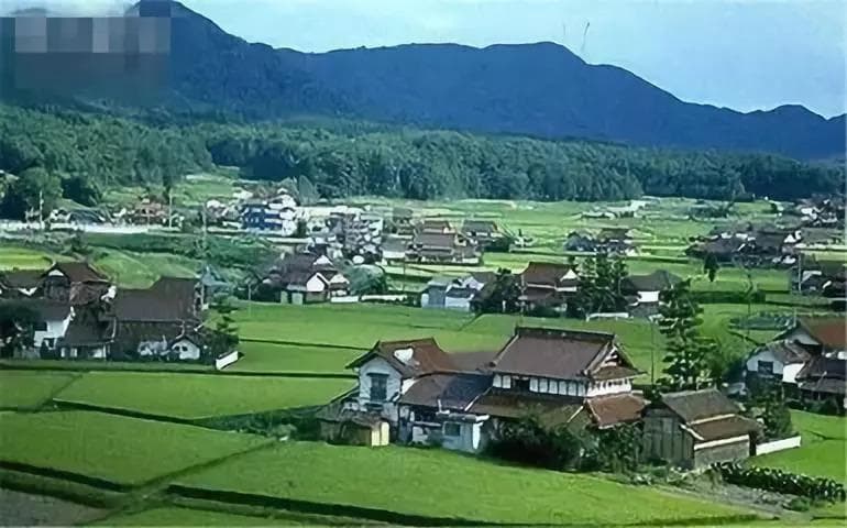 1999年以后的有些宅基地不能确权！当年到底是啥情况？