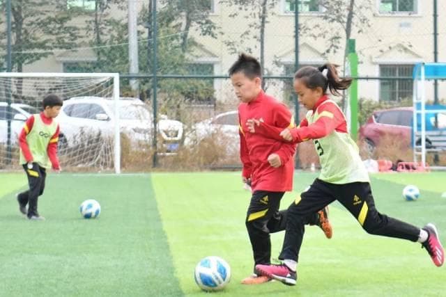 “靠踢足球也可以上大学了”：24种新专业纳入本科专业目录