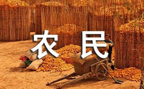 中国现当代文学农民形象流变轨迹