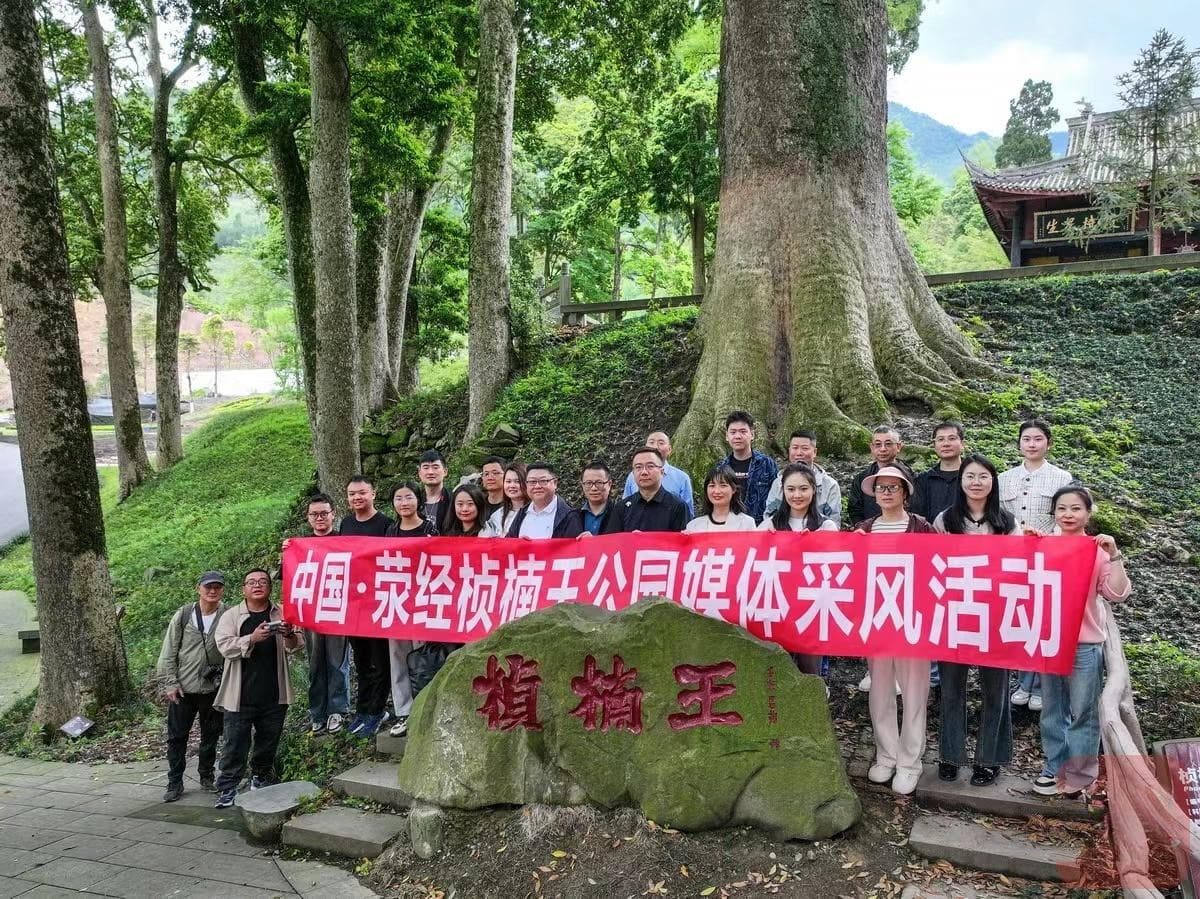 放空身心，五一来荥经“刹一脚”看桢楠王