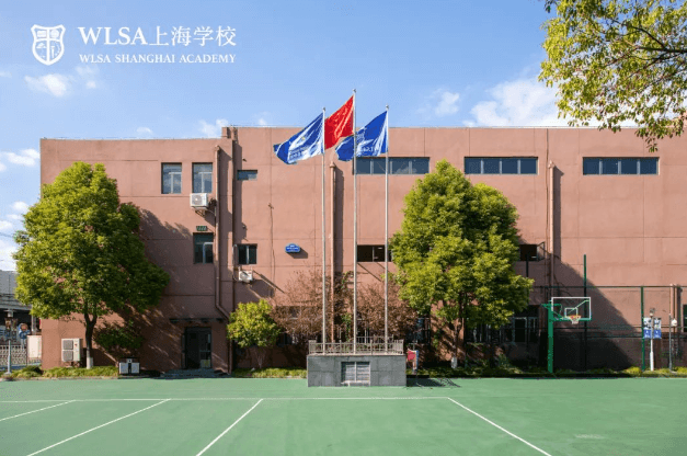 上海国际学校课程全攻略：IB/AP/A-Level 深度对比与升学路径解析！