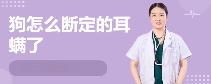 如何判断狗狗是否感染耳螨？四个关键观察点