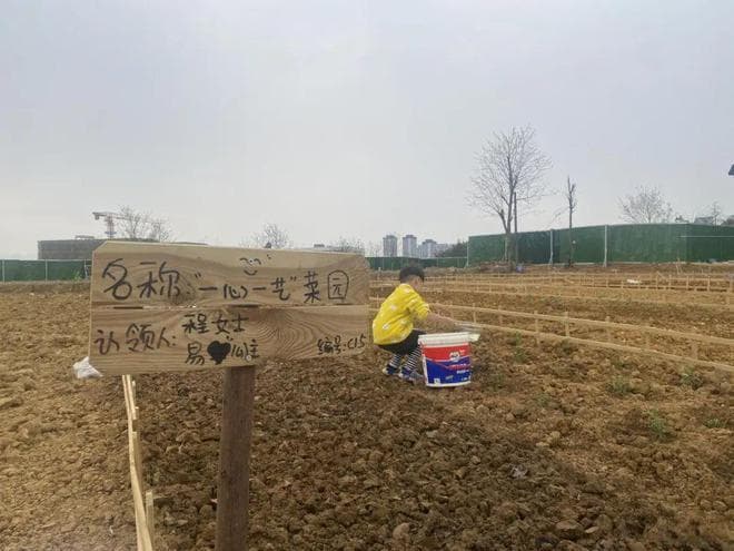 “共享菜地”火了！认领一块地，按年收费，你会种什么？
