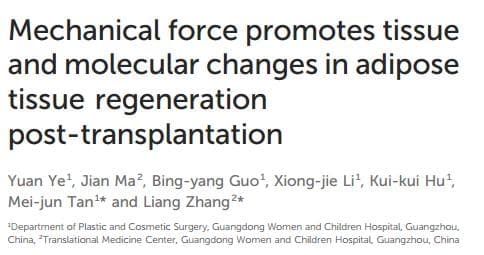 中国学者发现机械乳化技术促进脂肪移植后再生的组织和分子变化