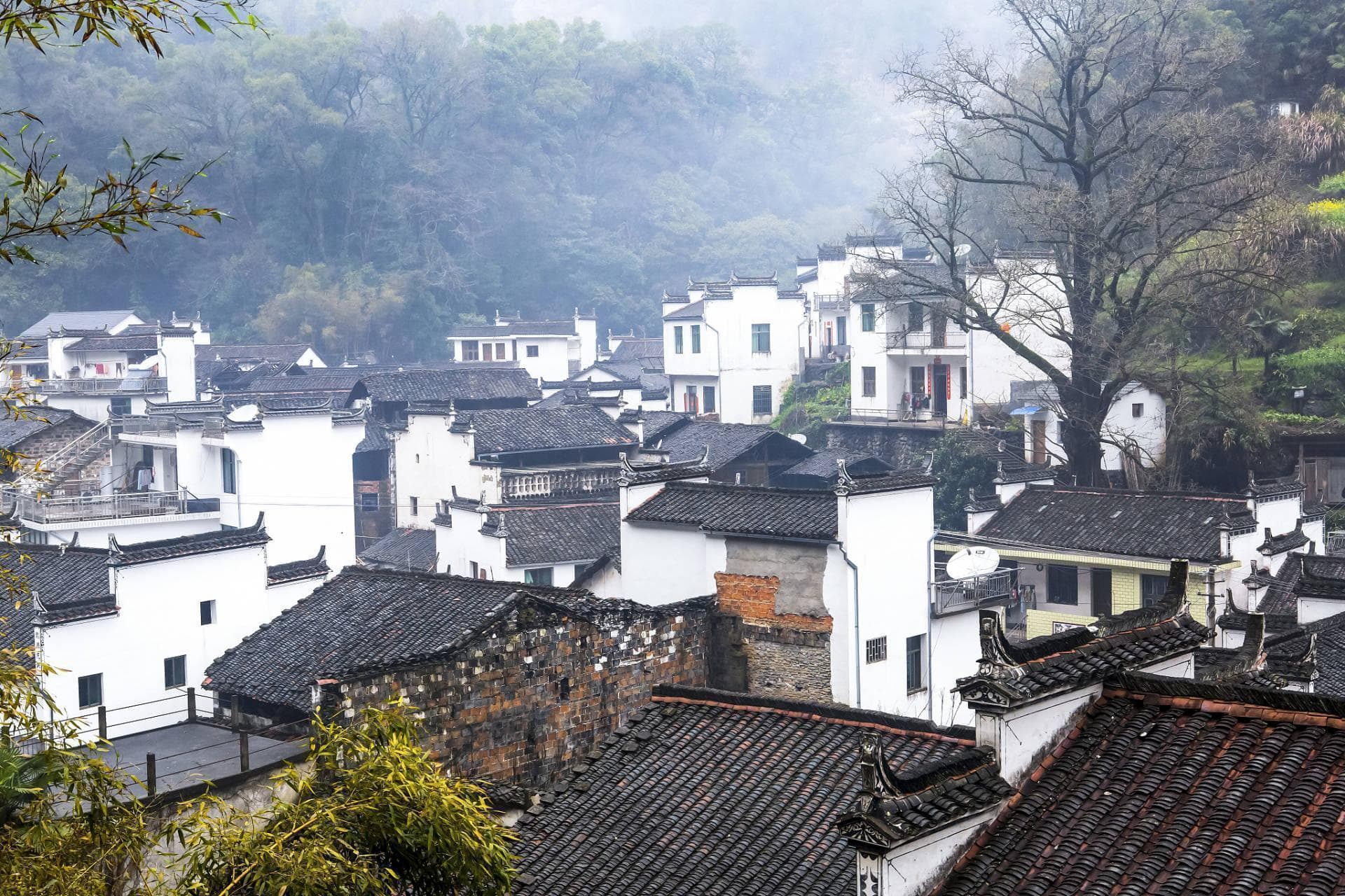 上饶十大景点全览：从世界湿地到千年古镇