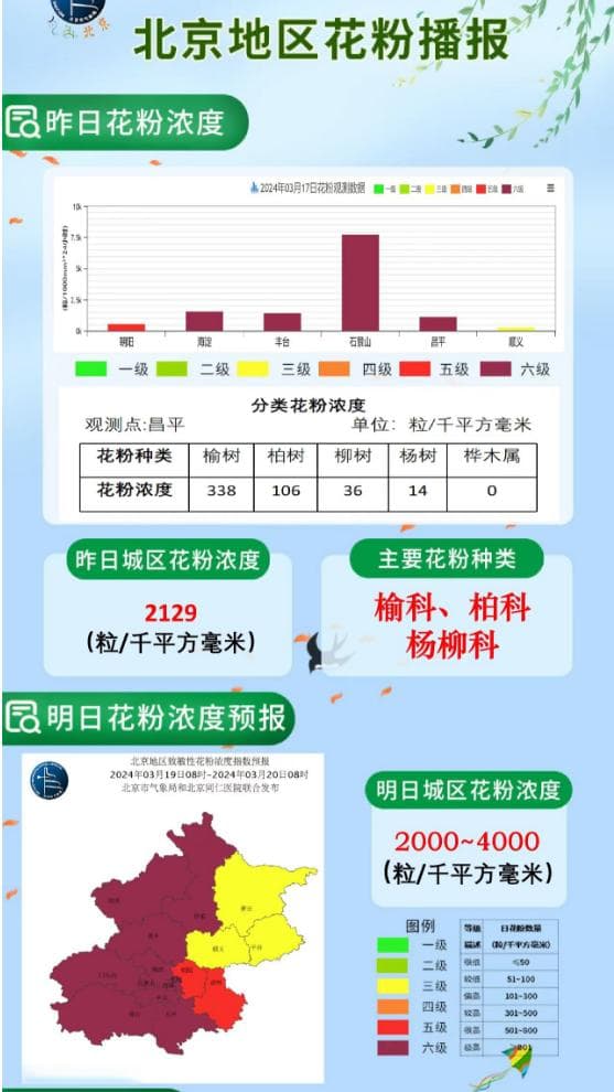 春季花粉过敏高发，“过敏星人”如何有效防护和应对？