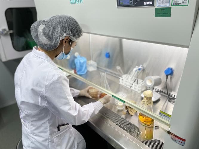 白介素2：艾滋病治疗的新希望？