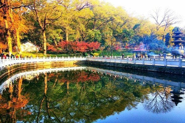 栖霞山赏枫正当时：11月中旬8大景点全览