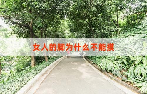 女人的脚为什么不能摸：一种文化与社会视角的解读