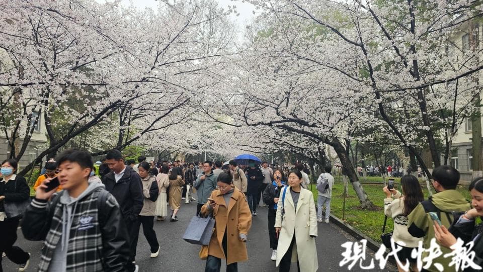 2024年江苏全省事业单位统一公开招聘笔试举行，30多万人报考