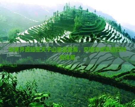 张家界西站至天子山景区距离、交通方式及旅行时间详解