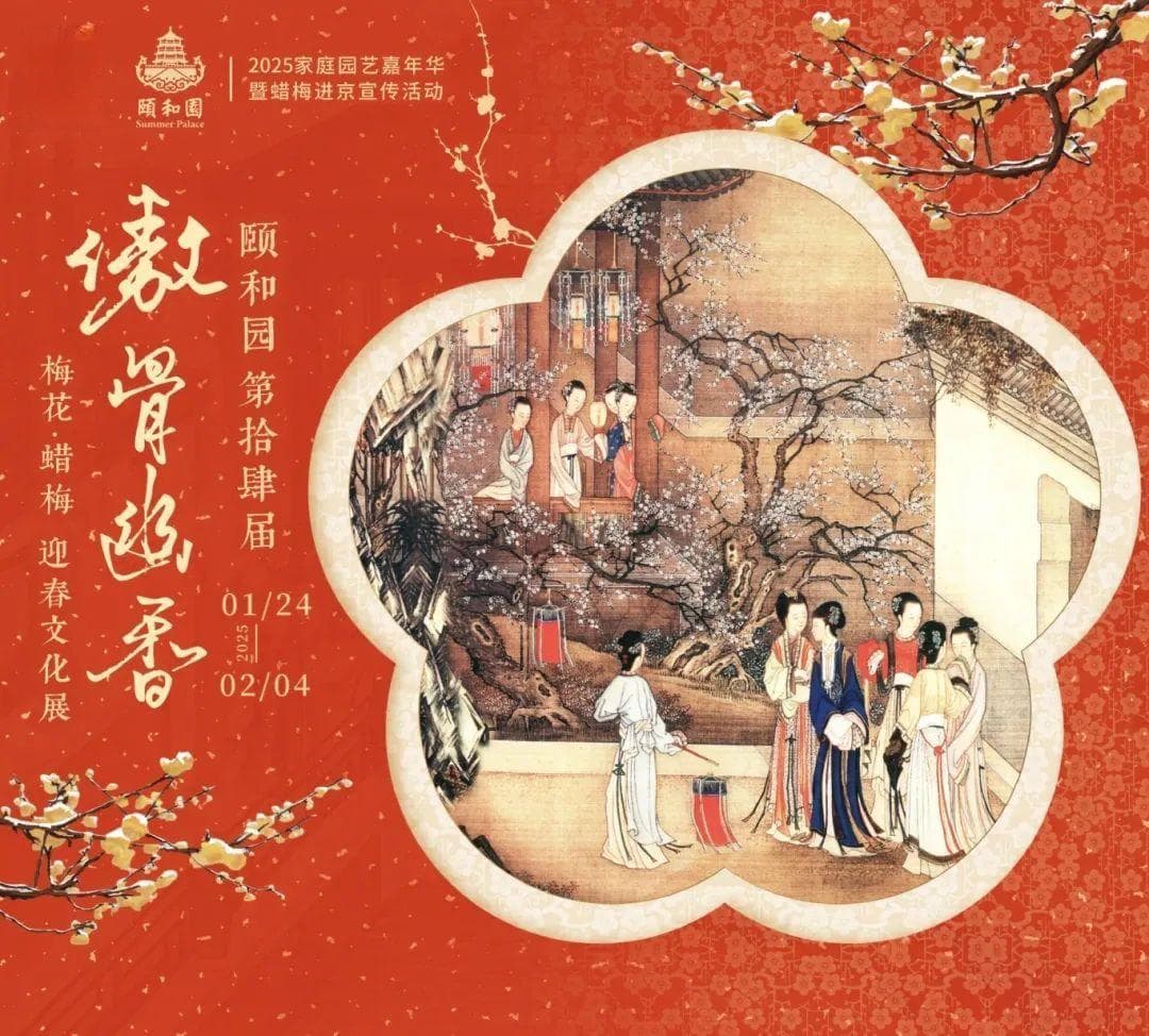 美翻了！北京春节繁花似锦，牡丹、梅花、樱花、兰花全开了