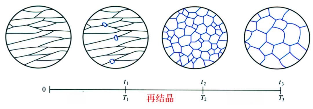 材料科学基础：回复与再结晶