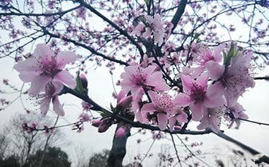 拆迁补偿款如何账务处理？遇到问题怎么办？