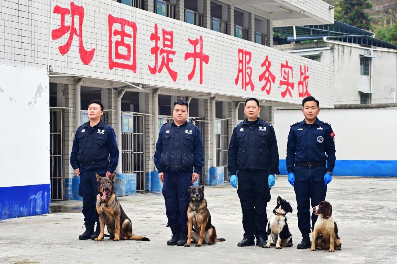 走进贵州桐梓公安警犬“汪汪队”