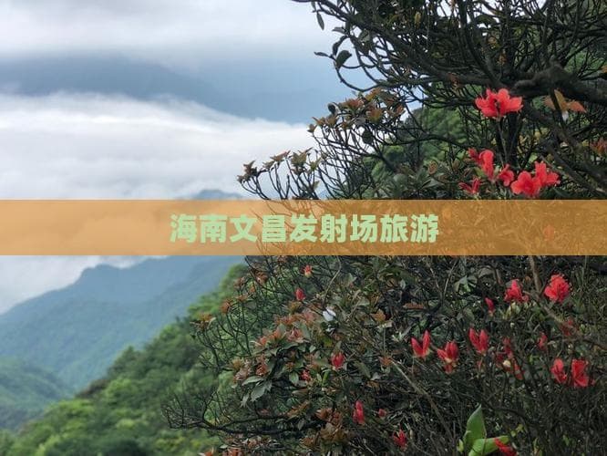 海南文昌发射场旅游全攻略：从参观指南到周边景点