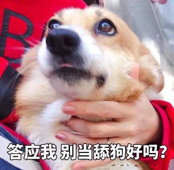 男性觉醒，“舔狗经济”崩塌