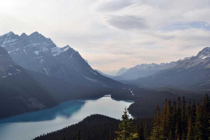 小程序与App的区别及其应用场景分析