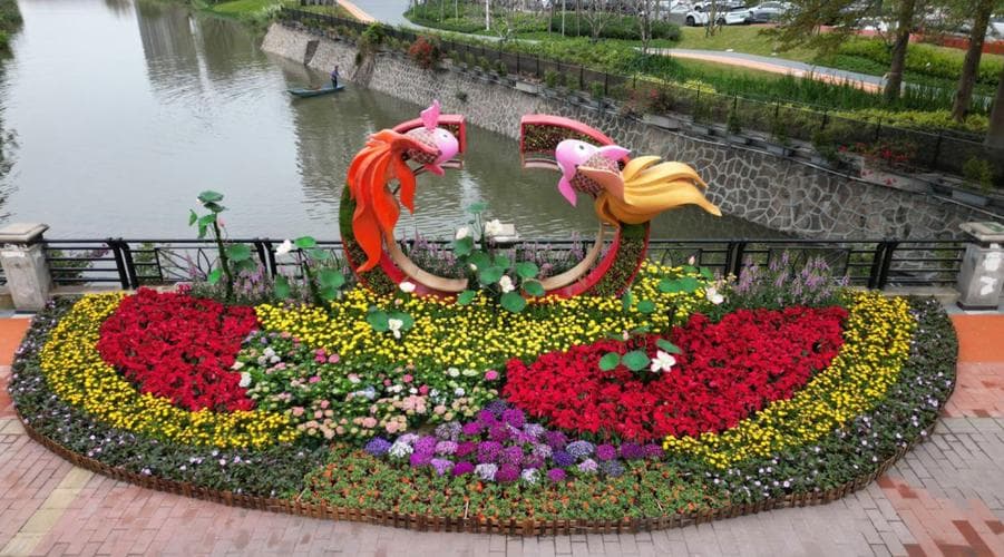 花坛花卉种植指南：常见品种、季节选择及养护要点