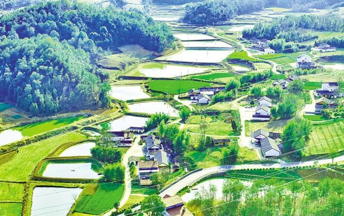 当阳玉泉河畔：生态治理“漂”出特色民宿群
