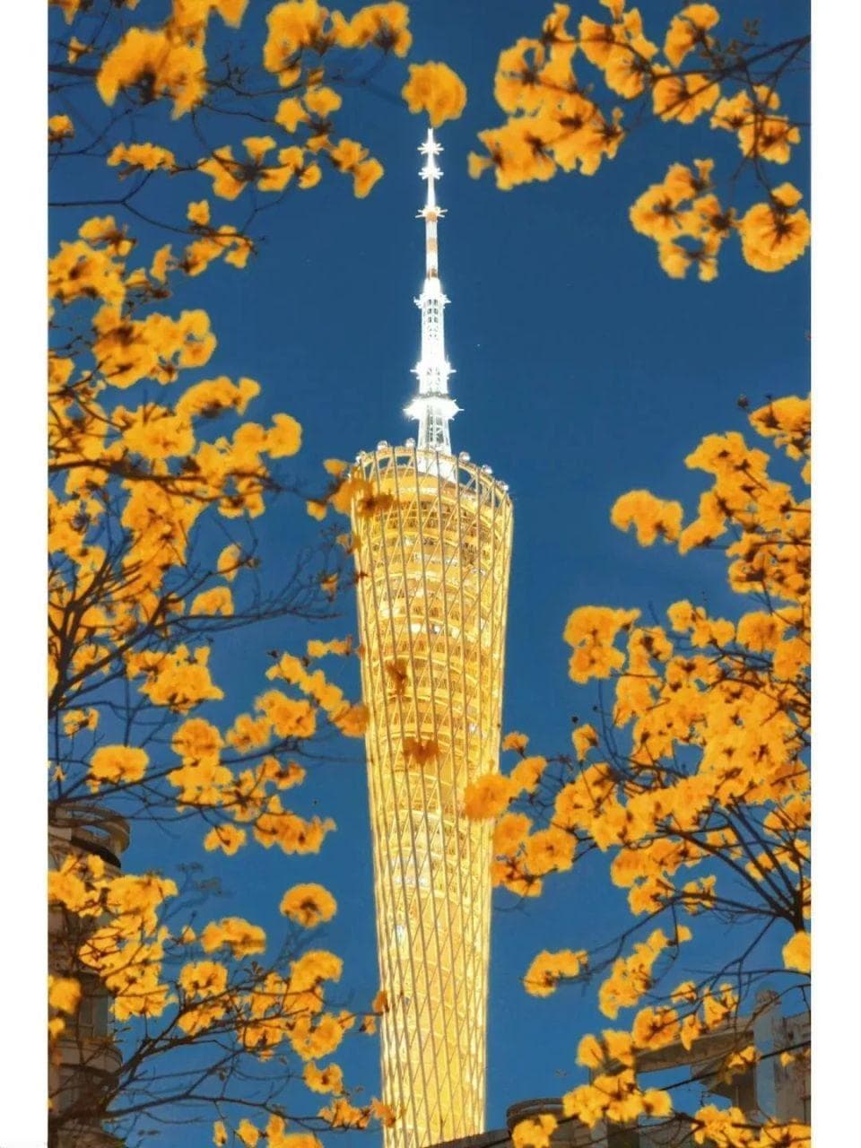 广州市文化广电旅游局推荐：四季摄影胜地指南