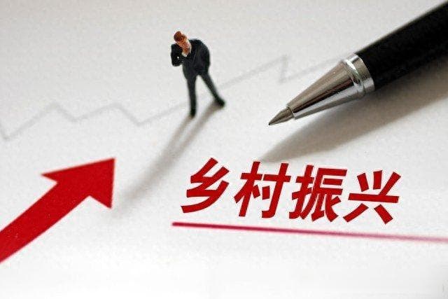 5个故事，告诉普通人如何玩转乡村振兴