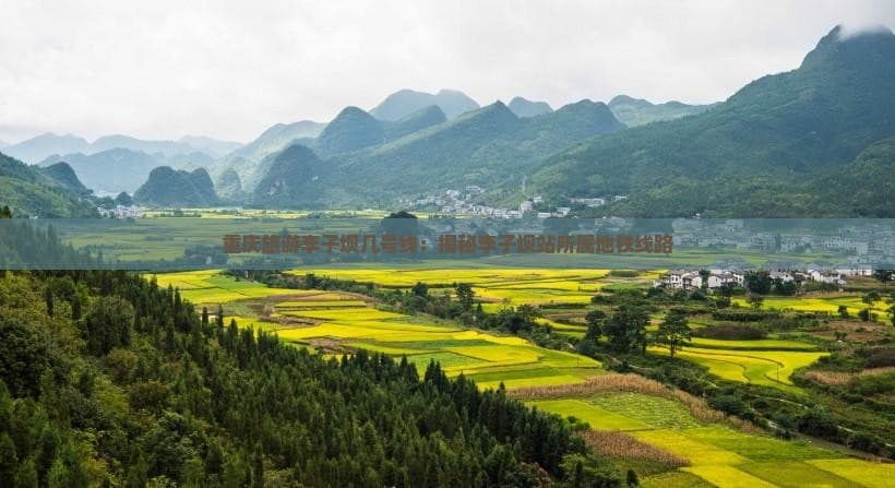 重庆李子坝站：揭秘"穿楼而过"的轻轨奇观