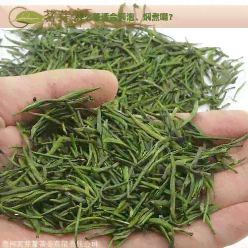 什么茶适合焖泡、焖煮喝？