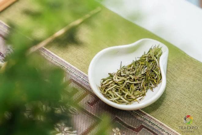 “冻”真格的！寒潮来袭对今年的春茶有影响吗？