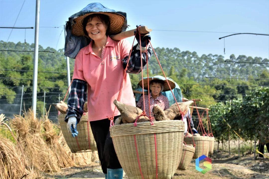 央视30分钟推介！高明美食实力出圈